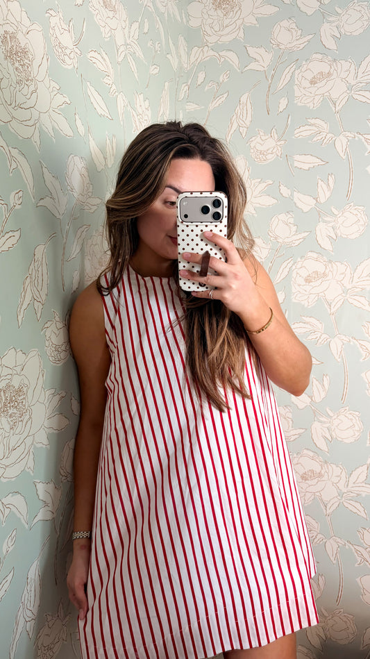 Between the Hedges Stripe Dress